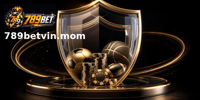Giới thiệu về soi cầu 247